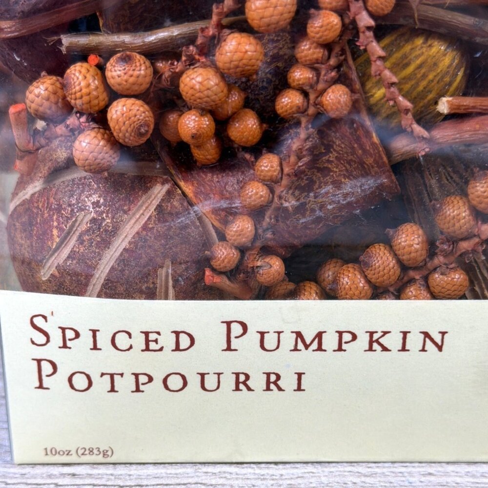Spiced Pumpkin Potpourri World Market Fall Harvest Home Table Décor Bowl Filler - Picture 10 of 10